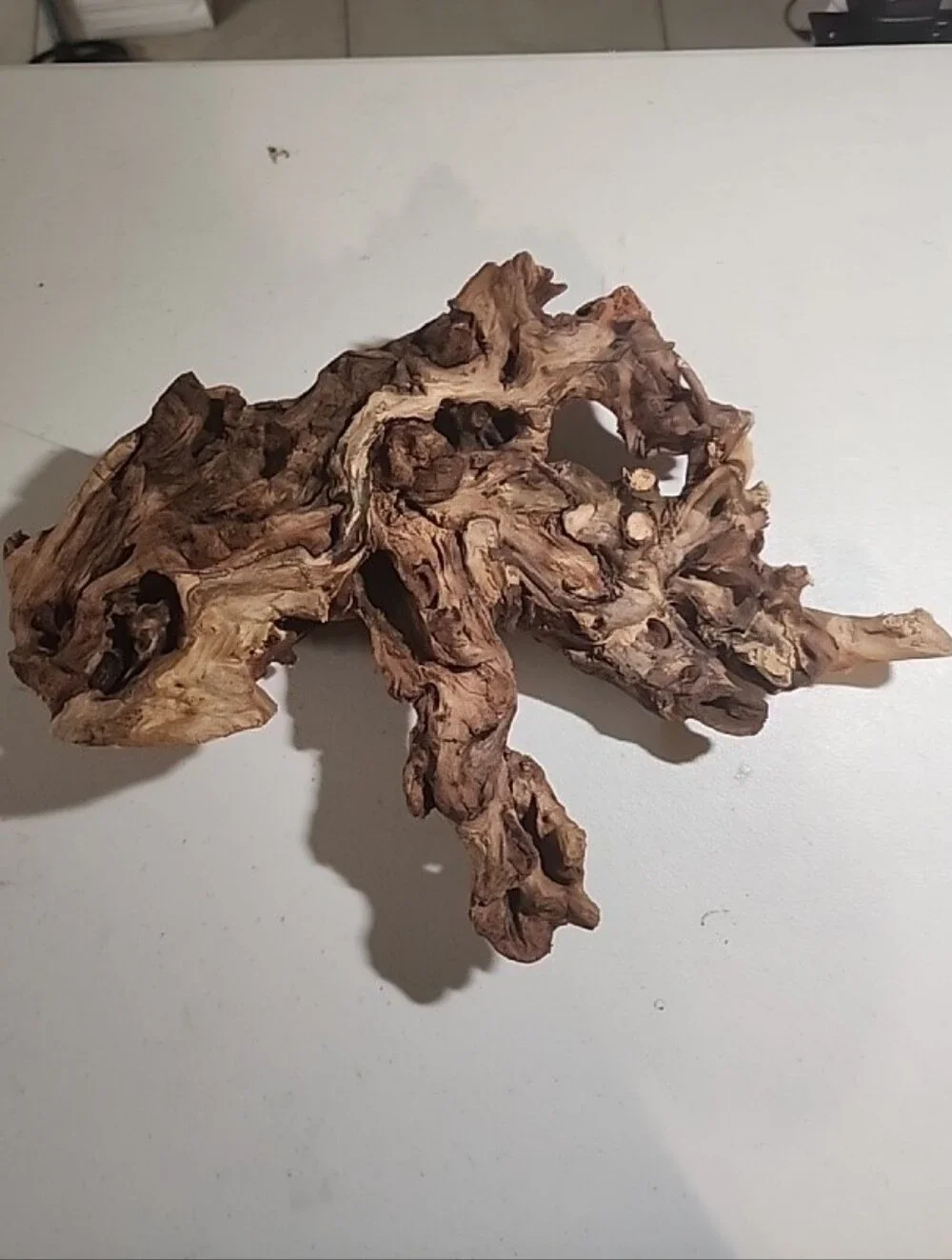 Majoywoo Natural Large Driftwood for Aquarium Decor Reptile Decor 10-15